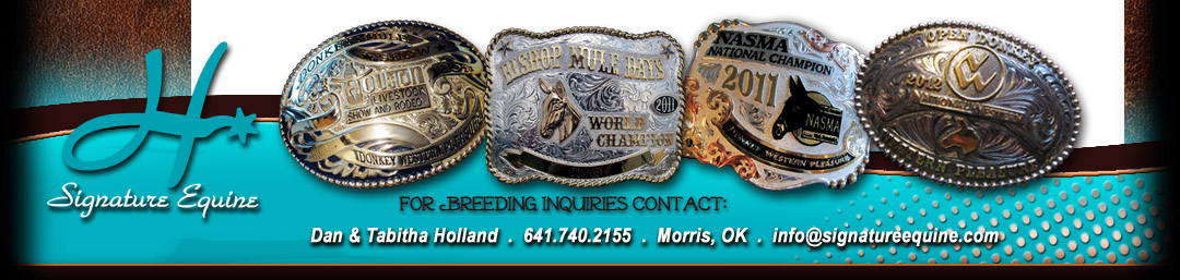 Mammoth Jack Standing at Stud to Mares & Jennets