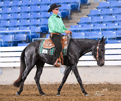 I'm Foxy And I Know It