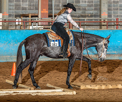 Fifty Shades Of Foxy