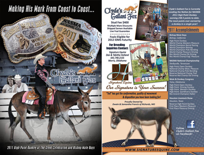 Mules & More Cover Story