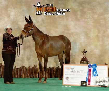 I'm Foxy And I Know It