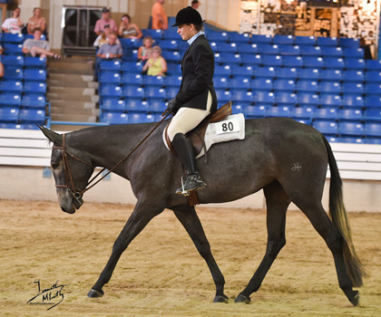 Fifty Shades Of Foxy