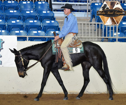 I'm Foxy And I Know It