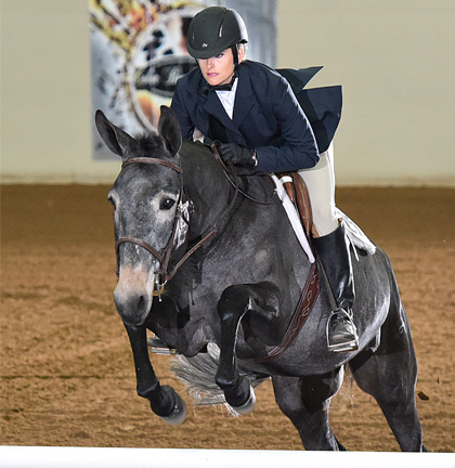 I'm Foxy And I Know It