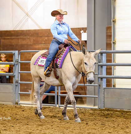 Fifty Shades Of Foxy