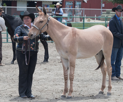 I'm Foxy And I Know It