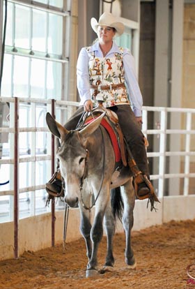 Ted Wins First Place in Western Pleasure at Louisville